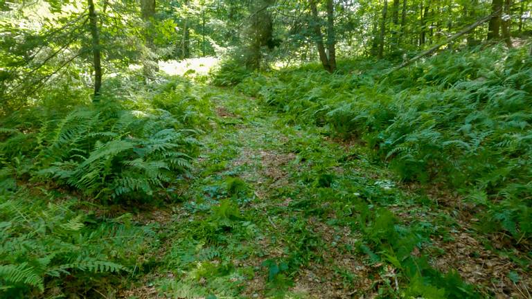 Trail Grading with Tractor