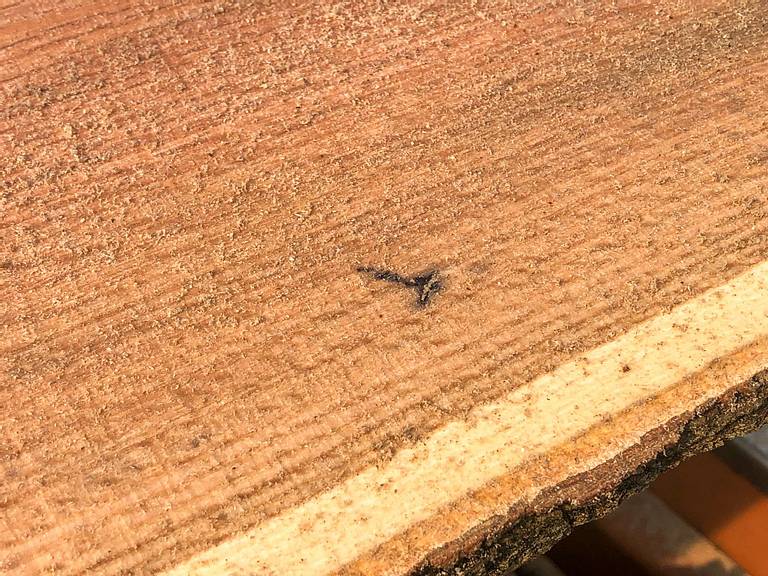 Band Saw Mill Screw