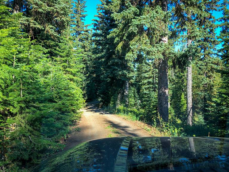 Forest Road