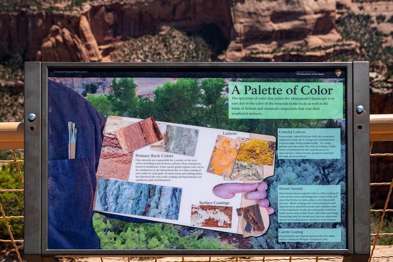Palette of Color