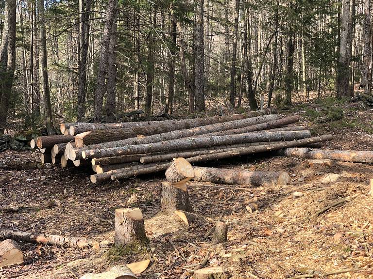 Log Pile